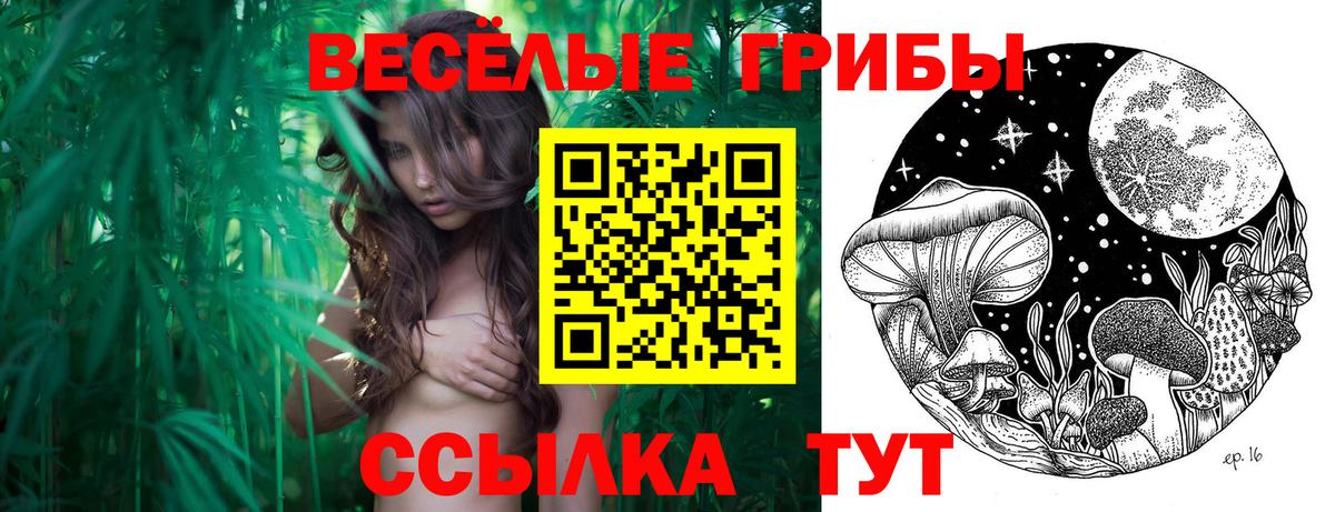 Галлюциногенные грибы MAGIC MUSHROOMS Ижевск