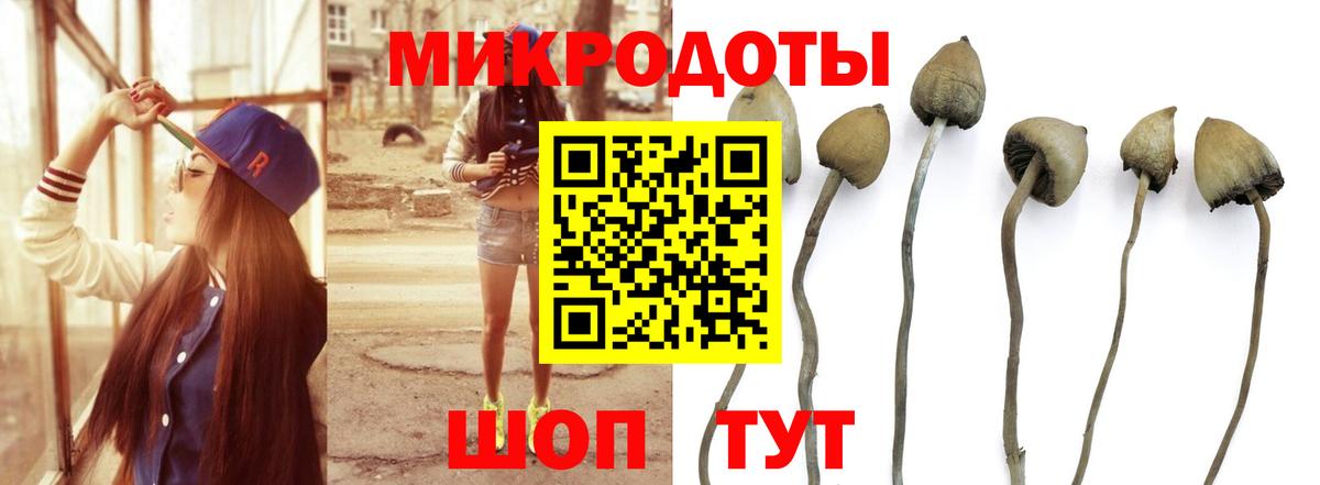 Ижевск  Галлюциногенные грибы GOLDEN TEACHER  Вход с VPN  Псилоцибиновые грибы MAGIC MUSHROOMS 